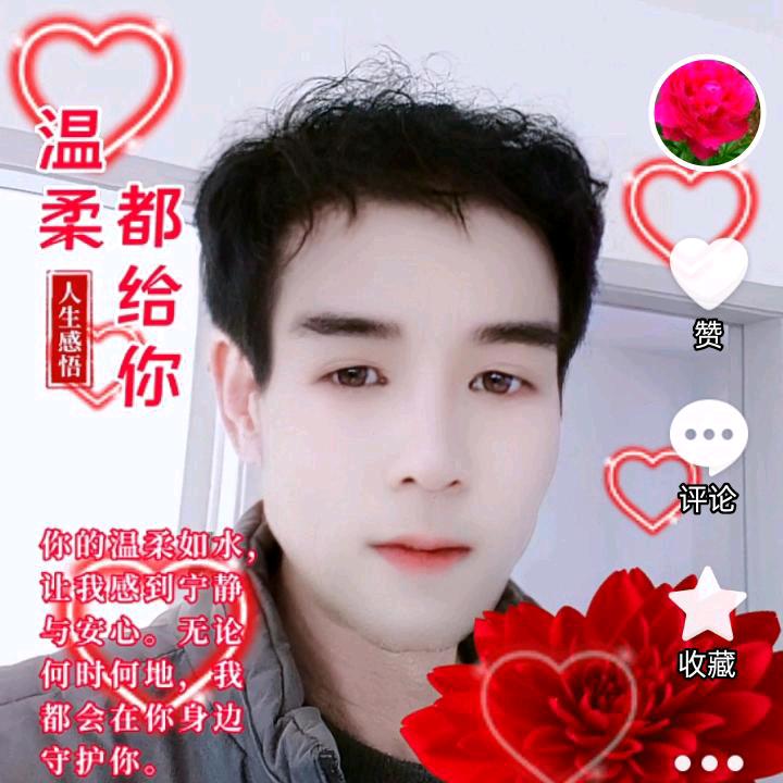 🌾🦋两只蝴蝶🦋🌾