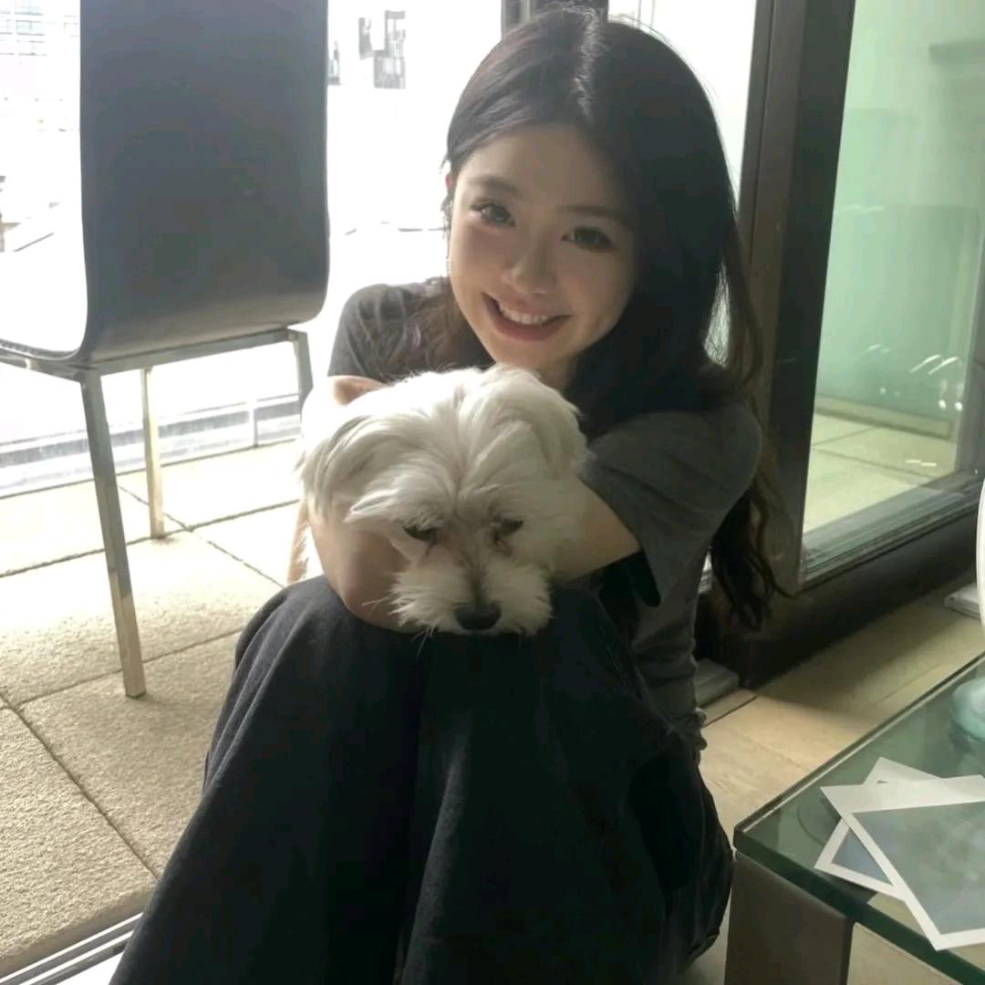 小新想喝真果粒