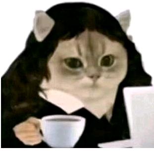 ✌︎˶╹ꇴ╹˶✌︎