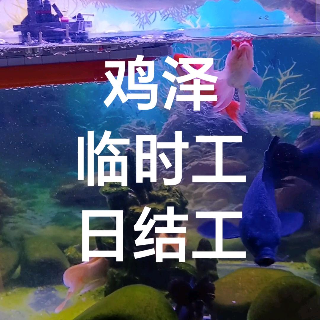 鸡泽临时工派送~赵小玲