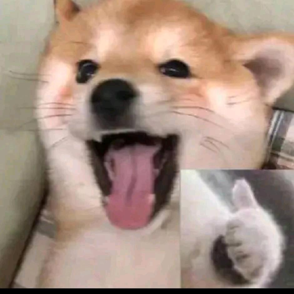 卧云挨泡泡