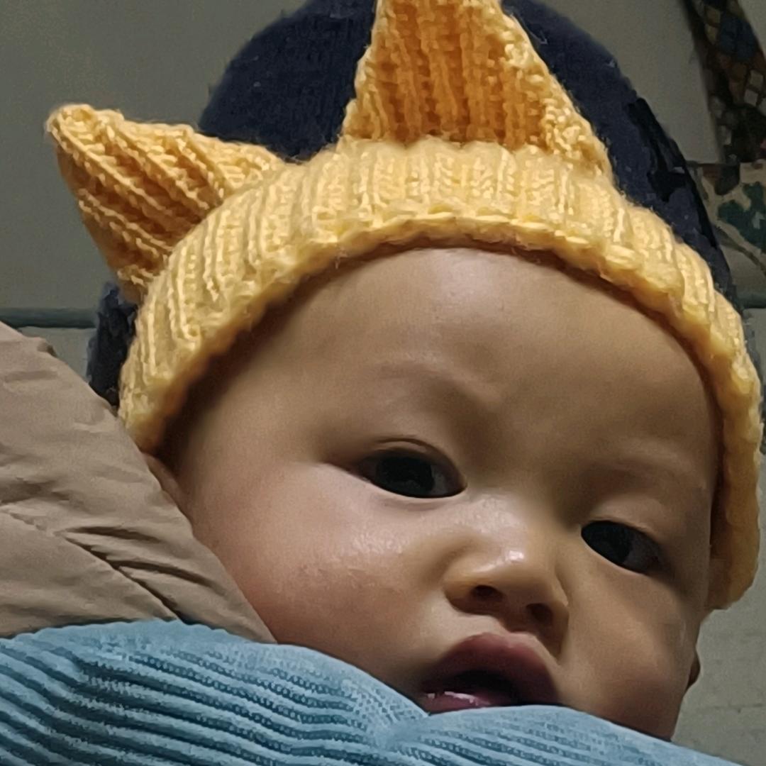 生活不易。