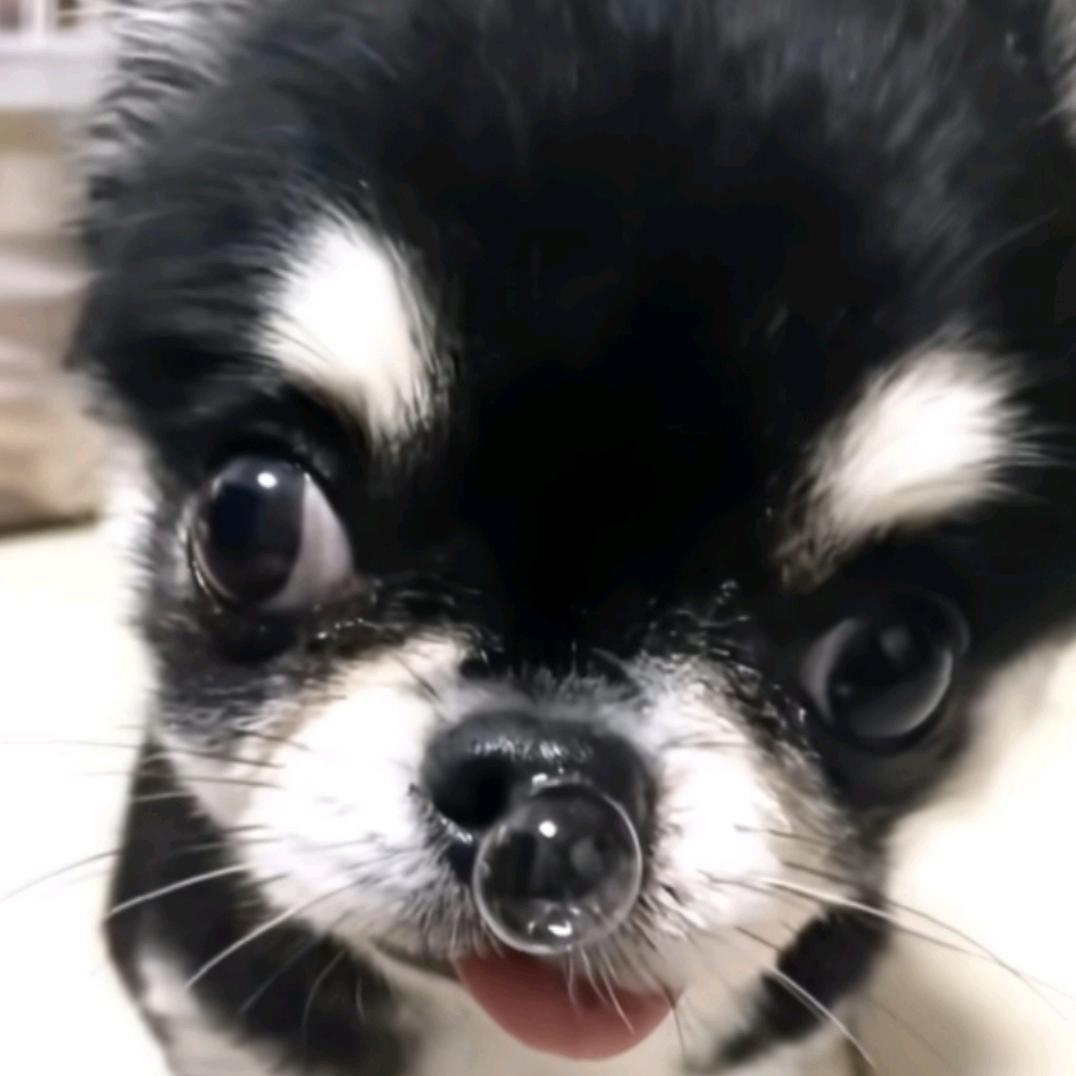 水↑飞