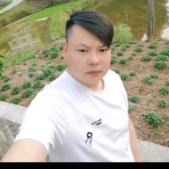 陳歌