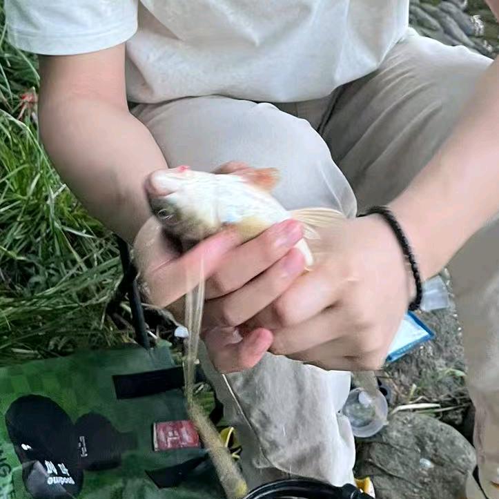 刚来