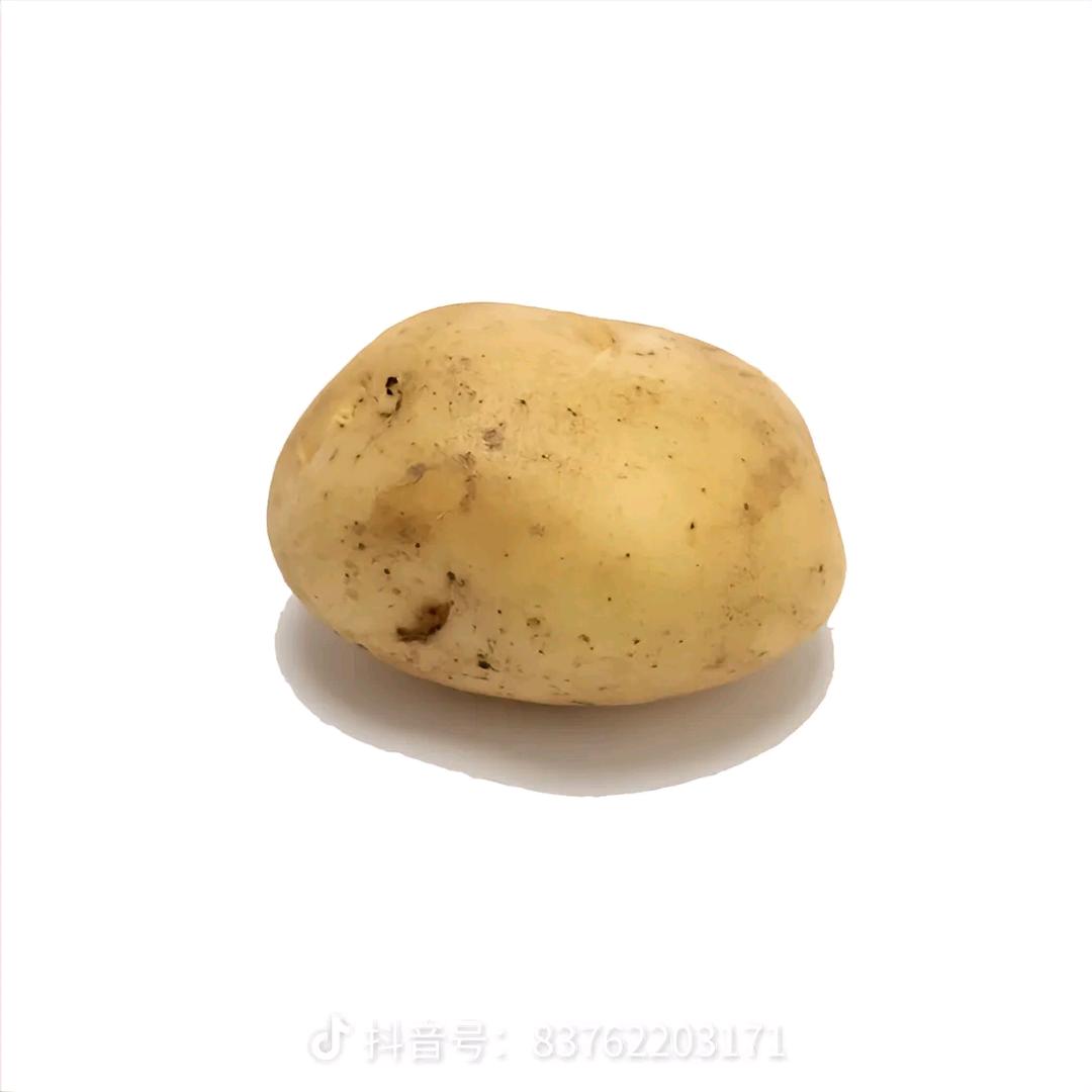 内向小土豆