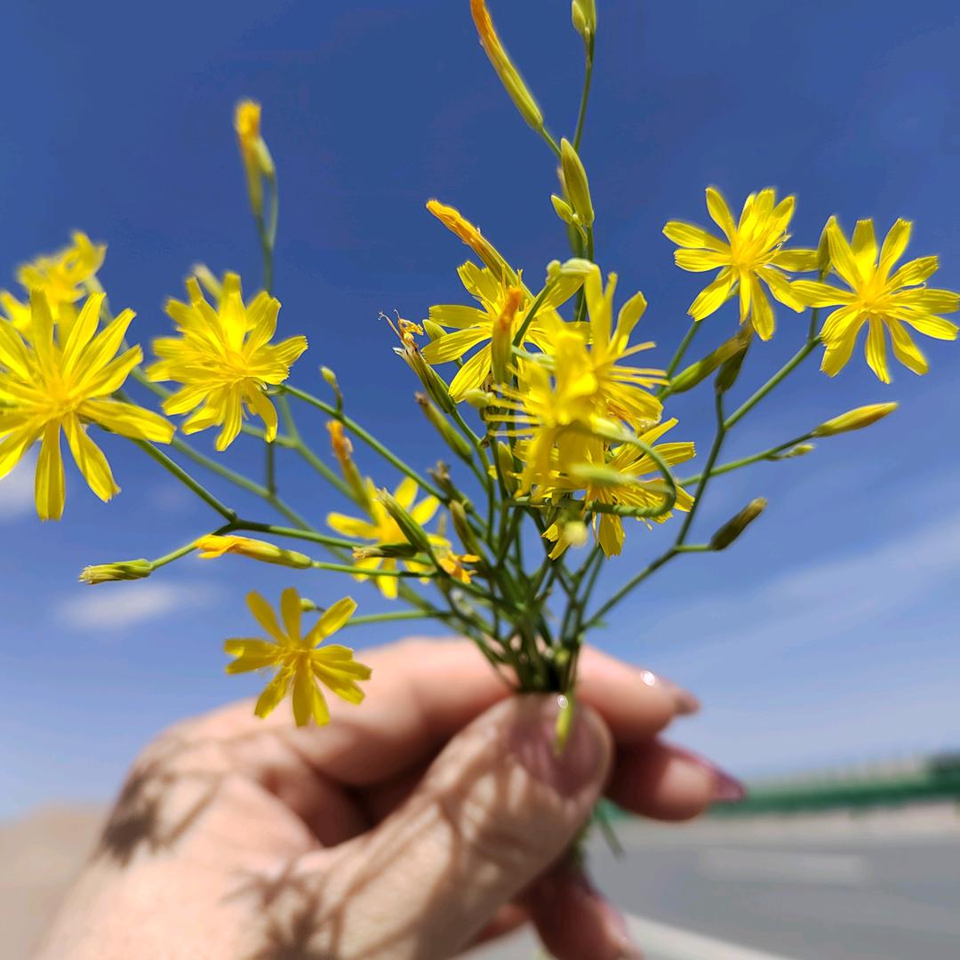 格尔木家庭民宿