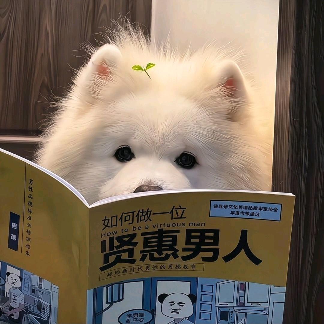 冰娇
