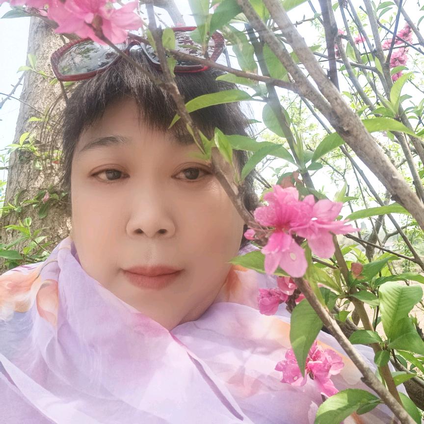 忘记过去，重新开始，兰姐