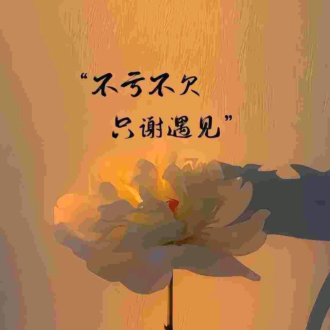 拾光的回忆