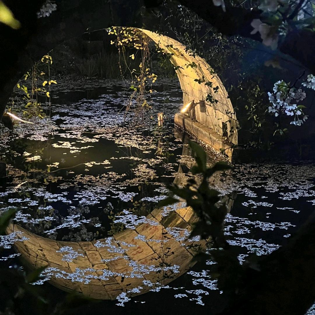 觉醒练习生手记