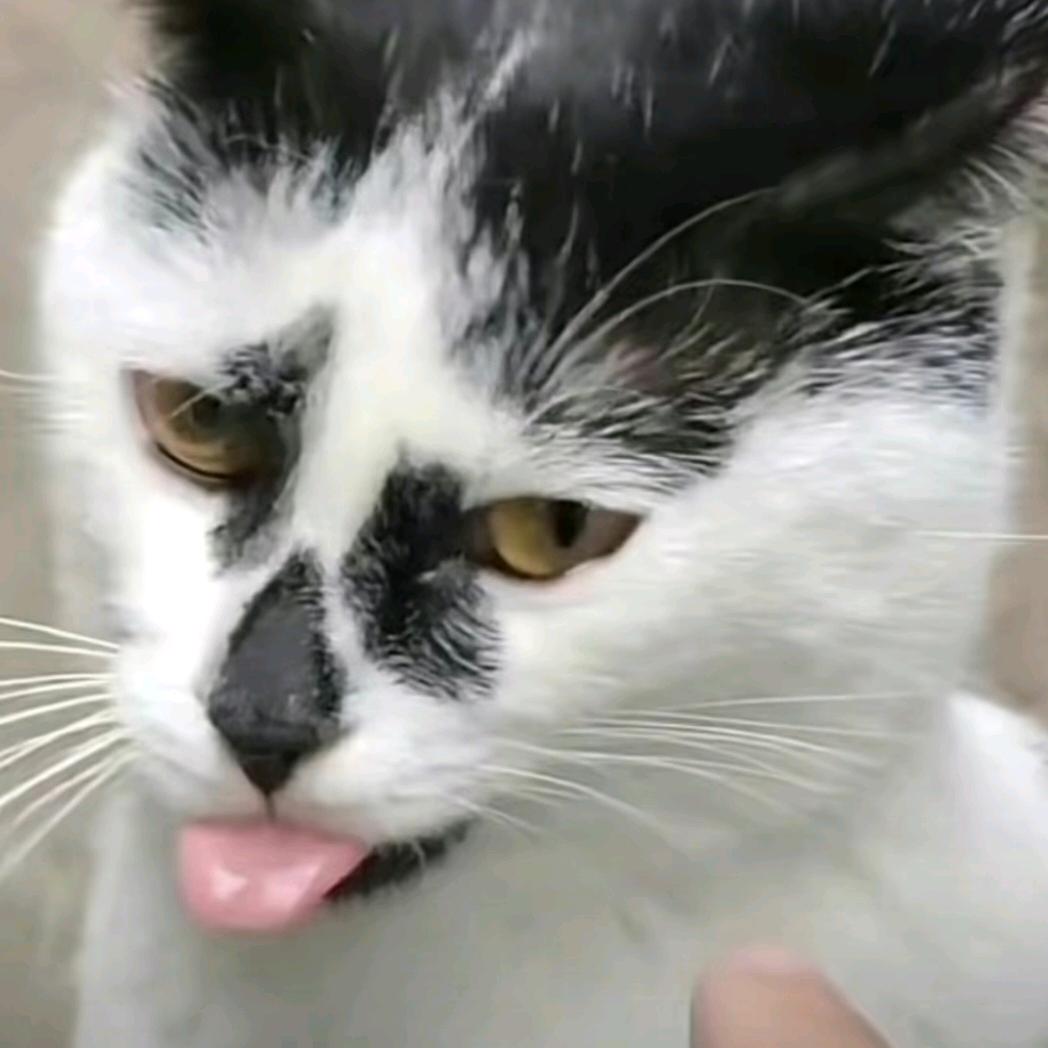 炸酱面hh