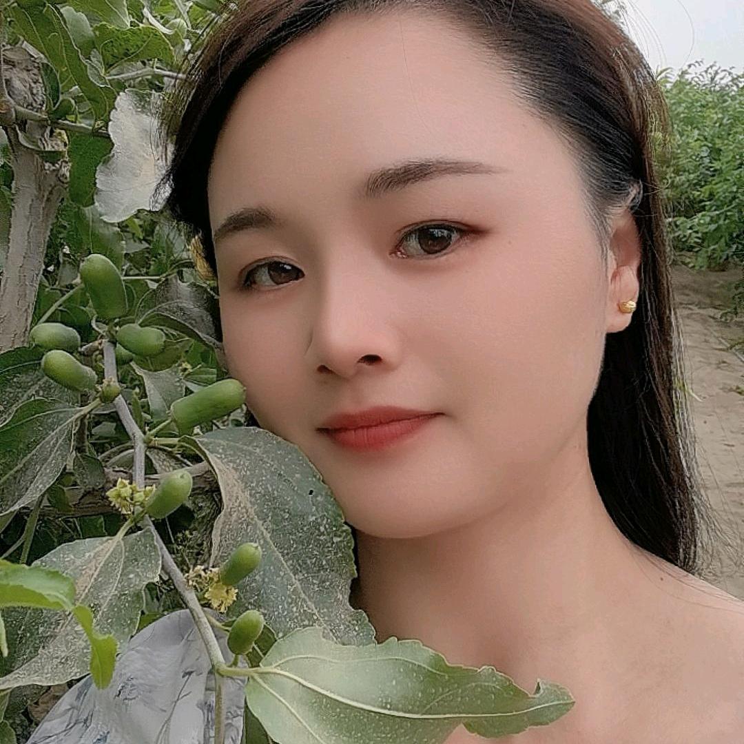 新疆小玉枣影影