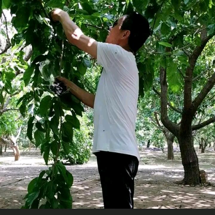 幸福人生_259097406