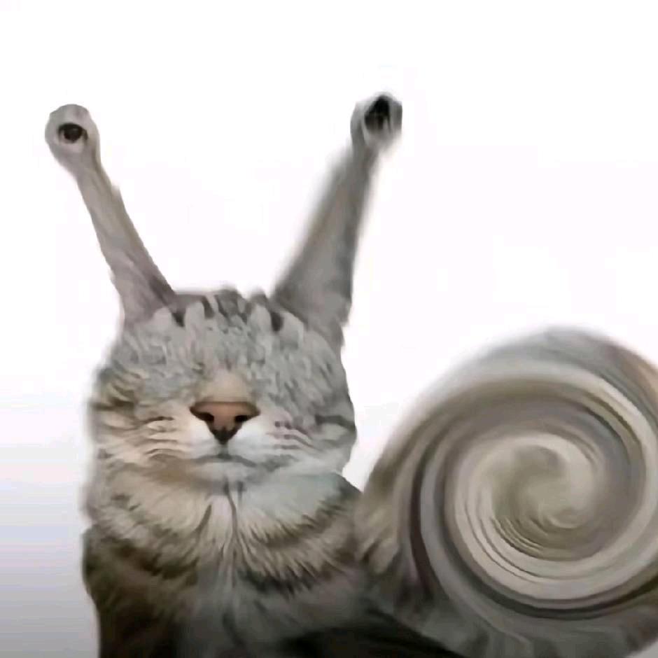 猫牛