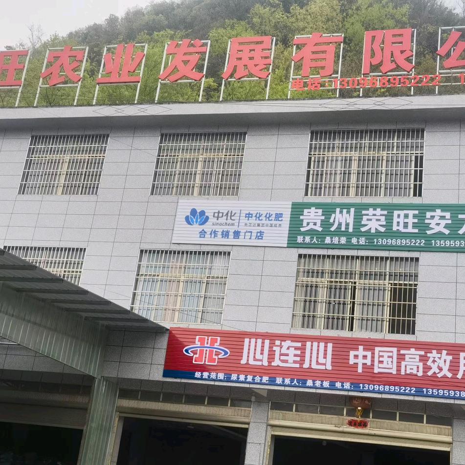 小黑哥