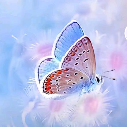 开心一天是一天