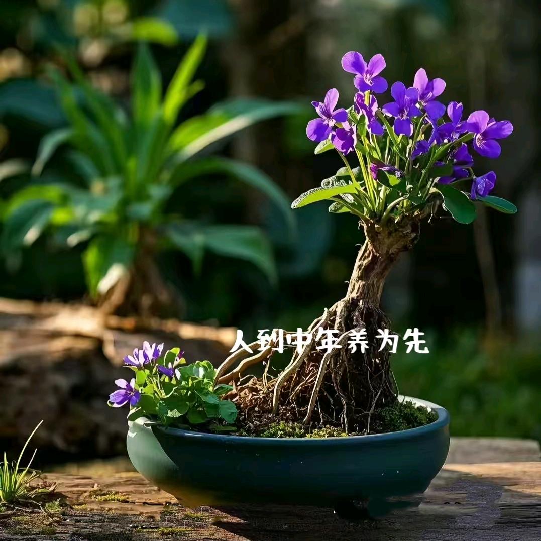 金喜老师²