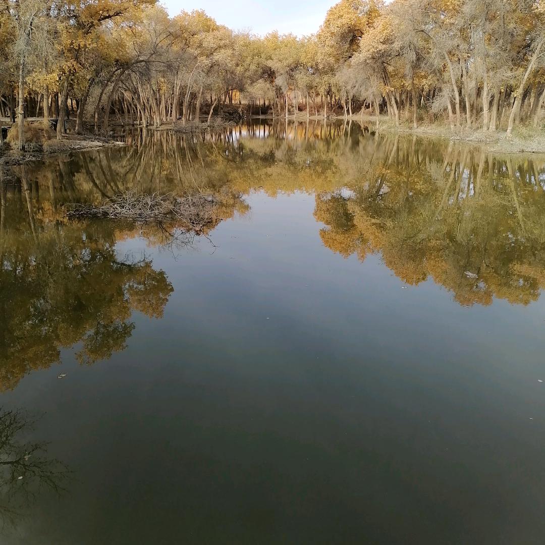 陈姐吖