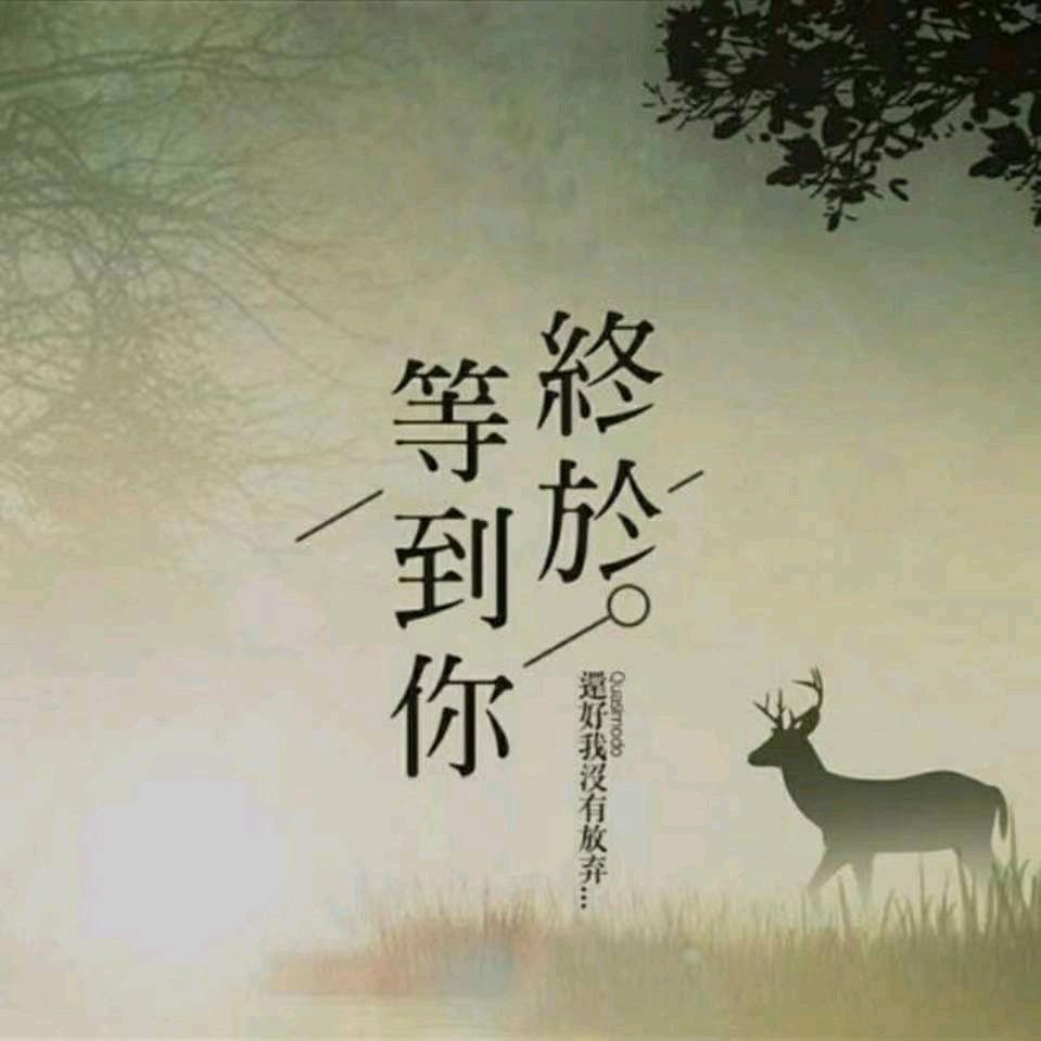 狭路相逢