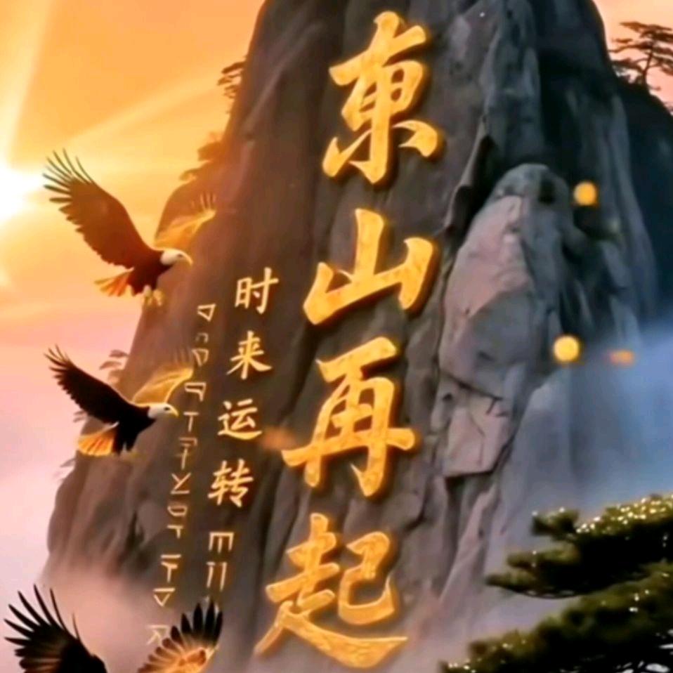张路路