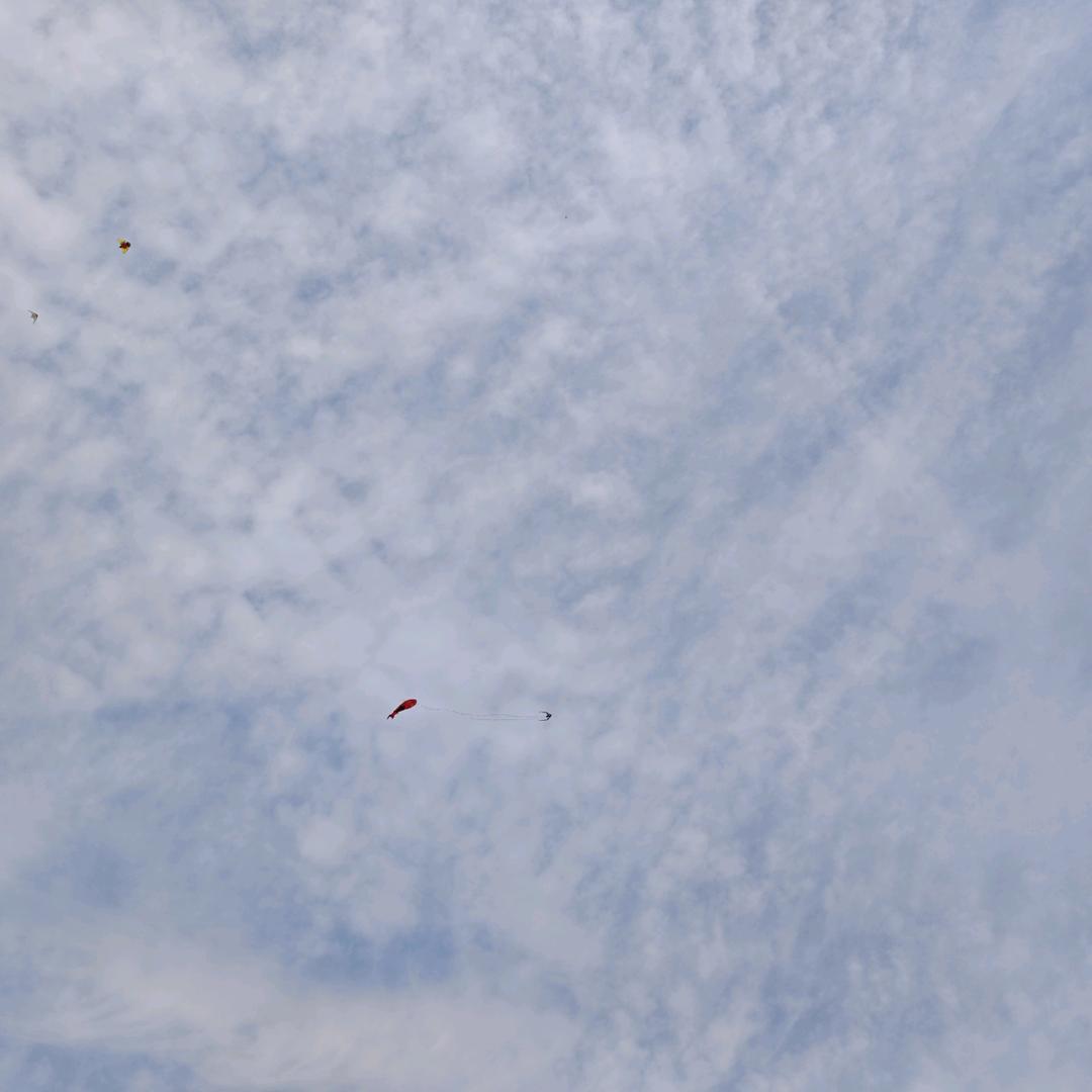 🌈🦄昨天晚上吃的烤串特别香