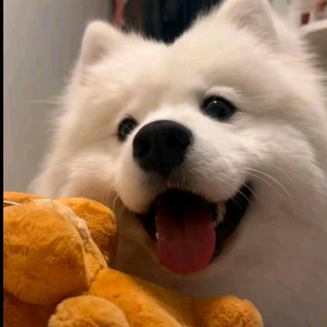 S小唐同学🐻