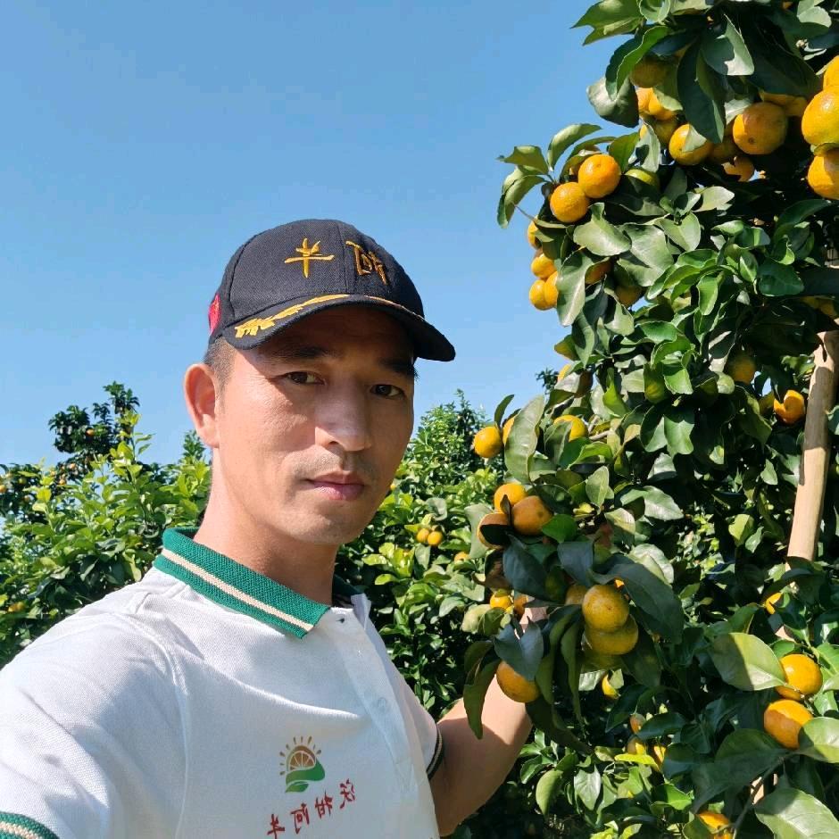 沃柑阿牛⁵²⁰【水果代办】