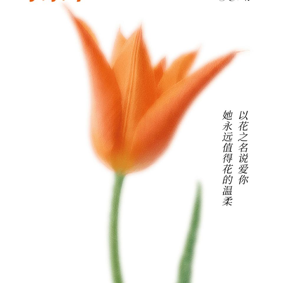 三宝妈妈
