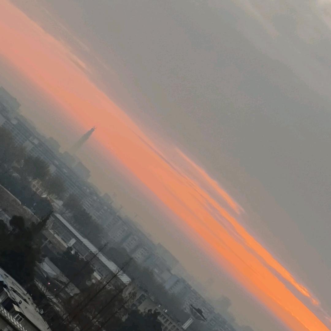 桀骜不旭