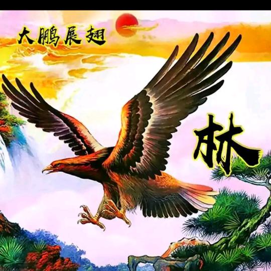 涡阳双林二手旧货回收
