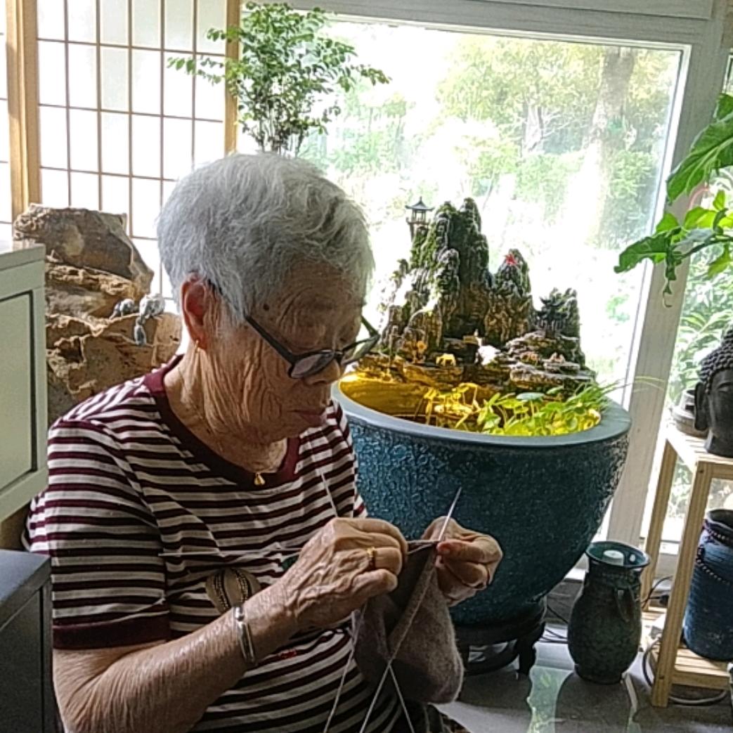 爱织毛衣的在英婆婆