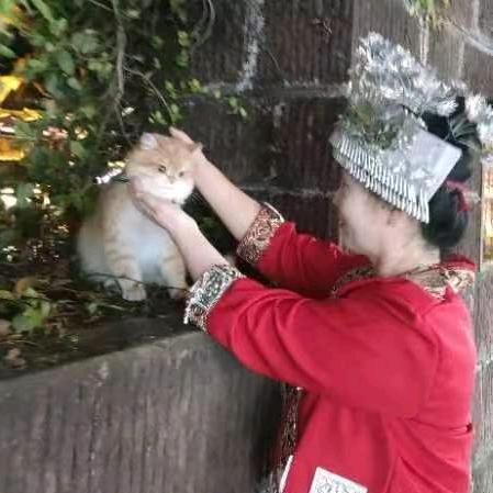 小龙女🐍🐍🐍