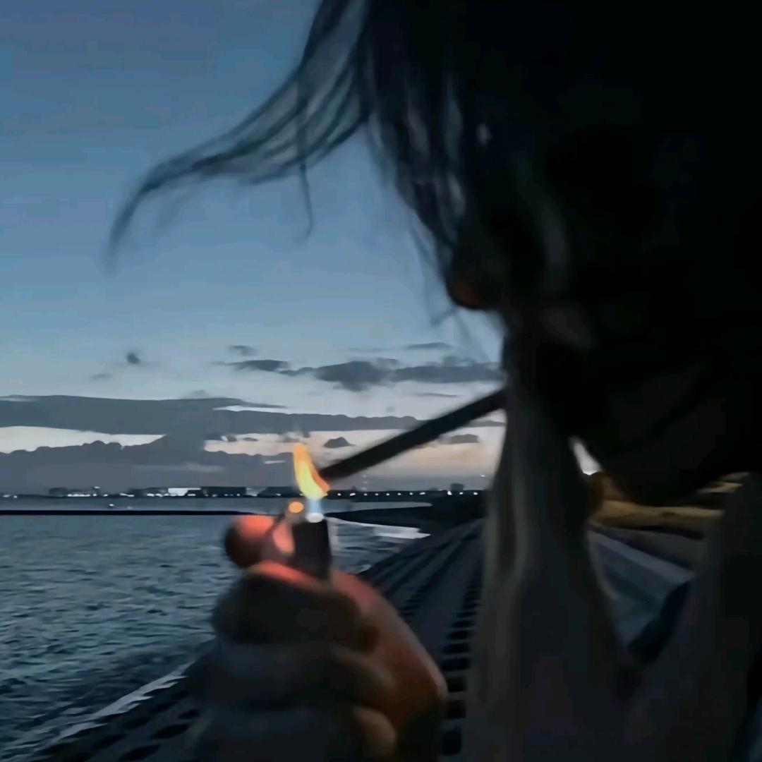 奶猫小财迷