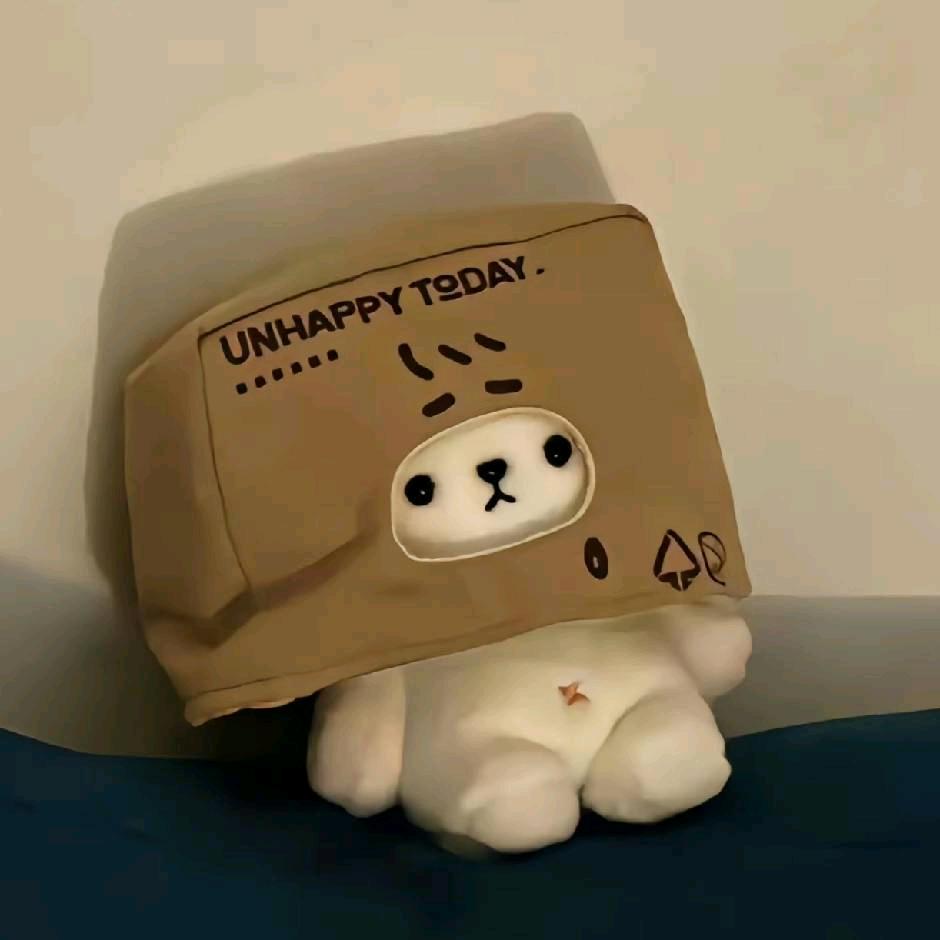 小y