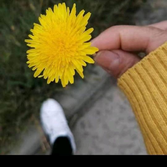 聪明男孩