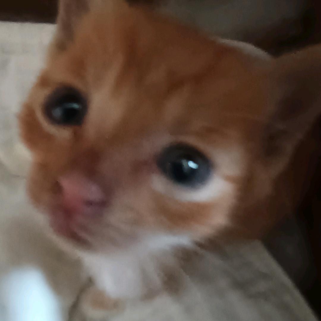 ^小芹祎^