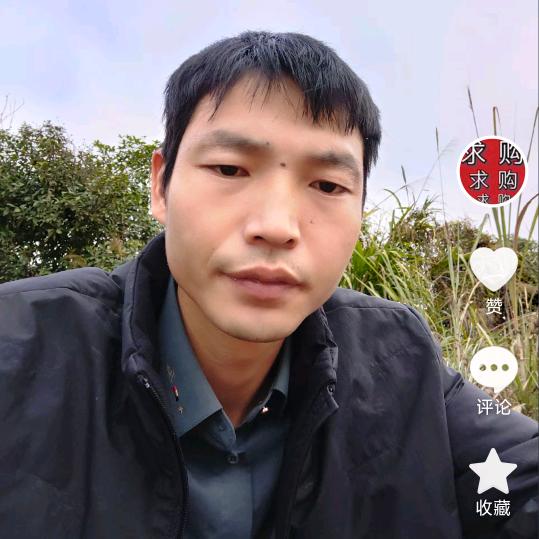 战将