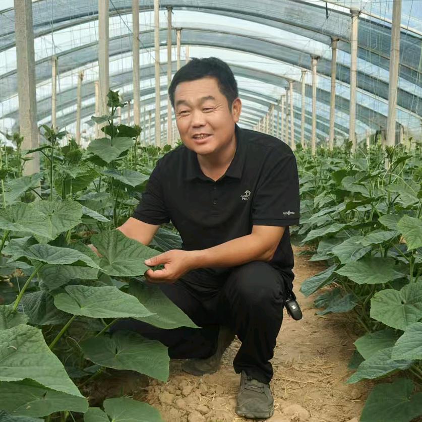 优质高产农业致青春