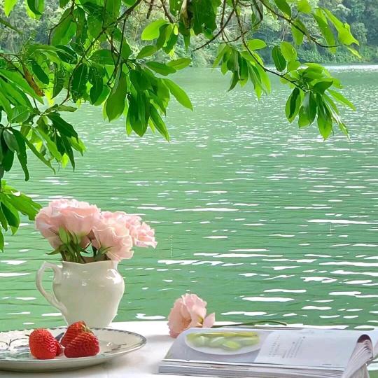 ℳঞ彼岸花开꧔ꦿ᭄💕🕊