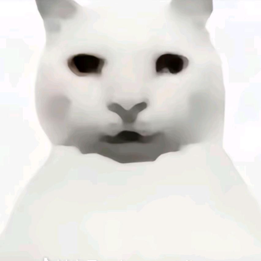 小猫爆如骚钢雷霆压力雷锤