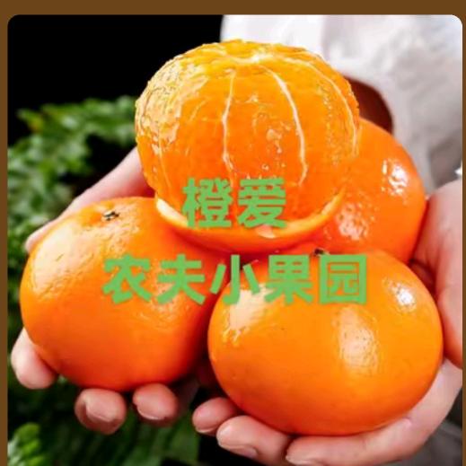 橙爱农夫小果园