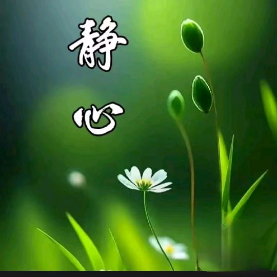 清馨