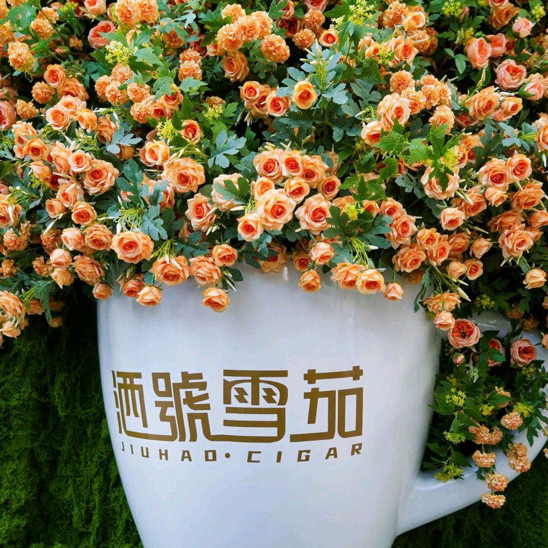 乌鲁木齐了长城优品酒號雪茄分店
