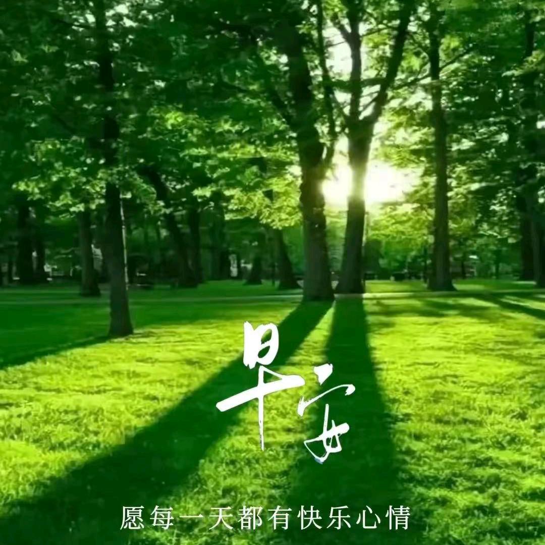 阳光男孩