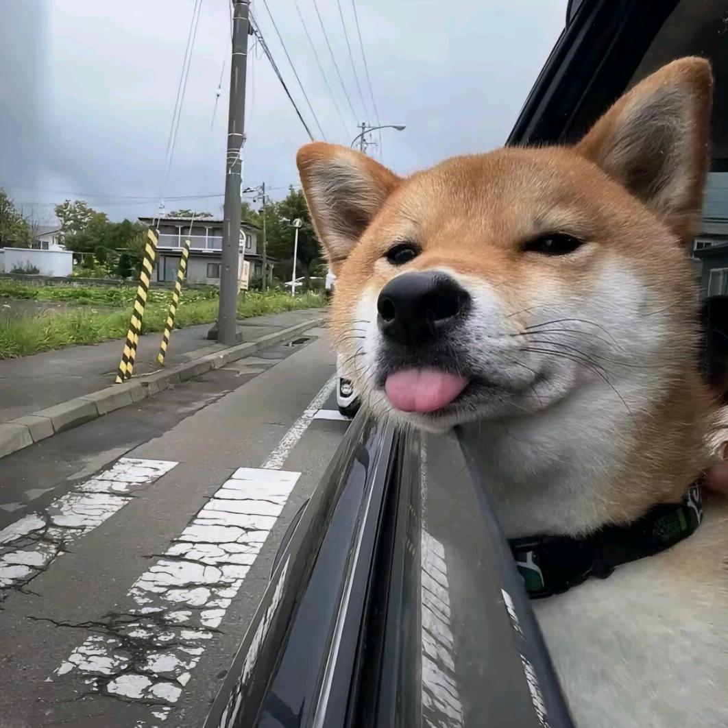 “该释怀'^（冲200粉）