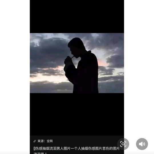 奎利