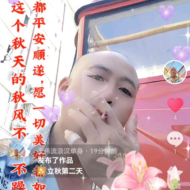 光头单身 王子