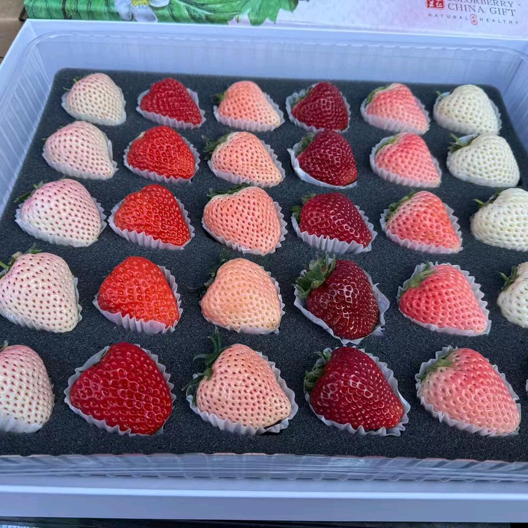 太原拉森甜茶里