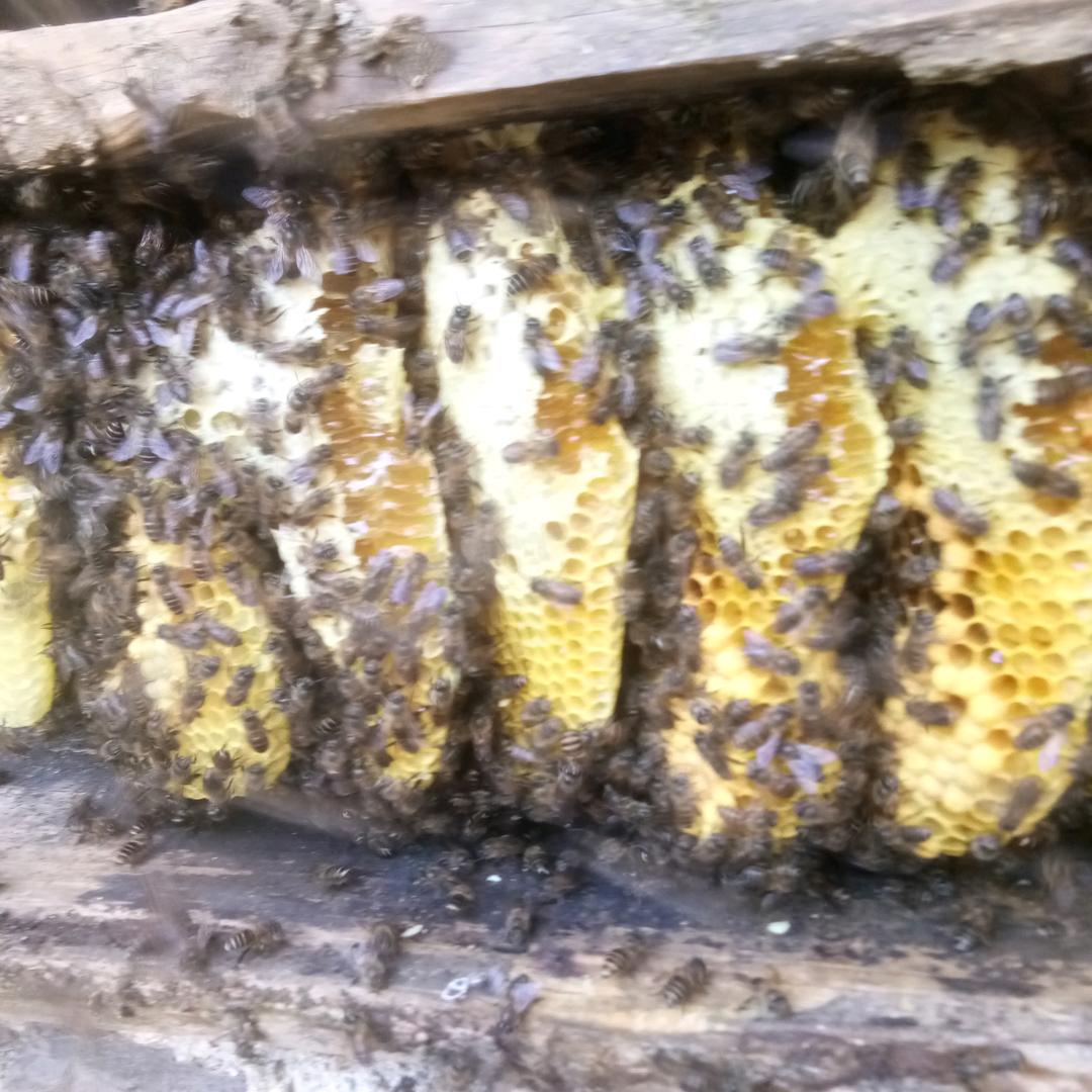 ꧁꫞꯭放♧手꫞꧂